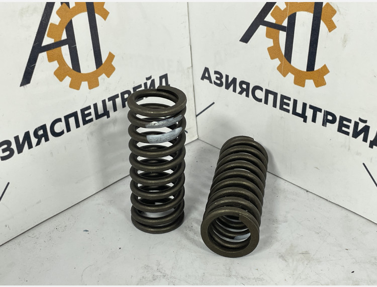 Пружина выхлопного клапана 1007022-29D