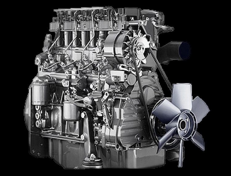 F 2 M 2011
