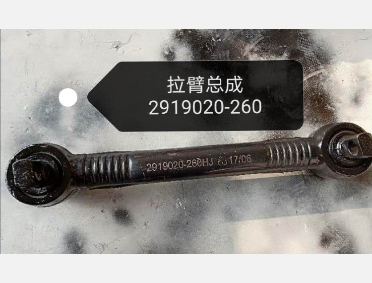 Тяга прямая задняя нижняя 2919020A65B